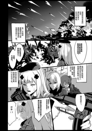 HK416 Project Page #3