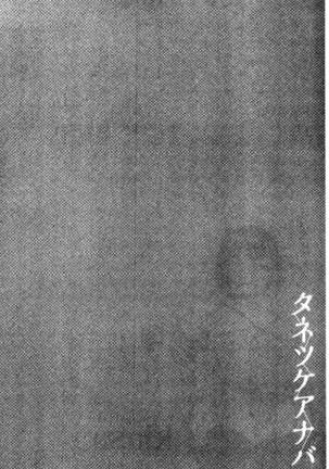 Tanetsukeanaba Page #185