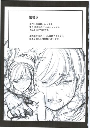 Seiya no Duelist Junbigou Page #3