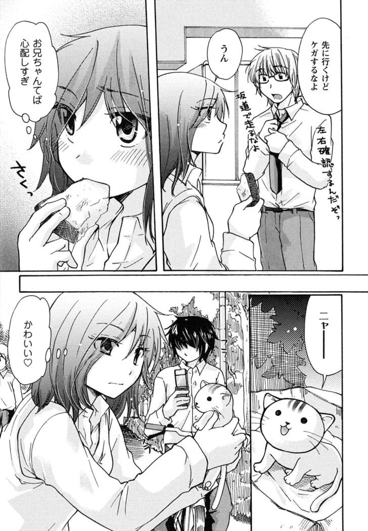 Hatsukoi - one's first love
