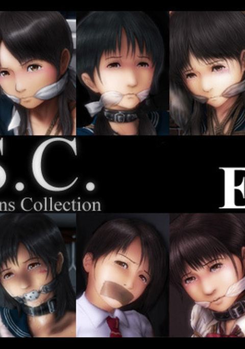 H.S.C. Illustration Collection Ex.4