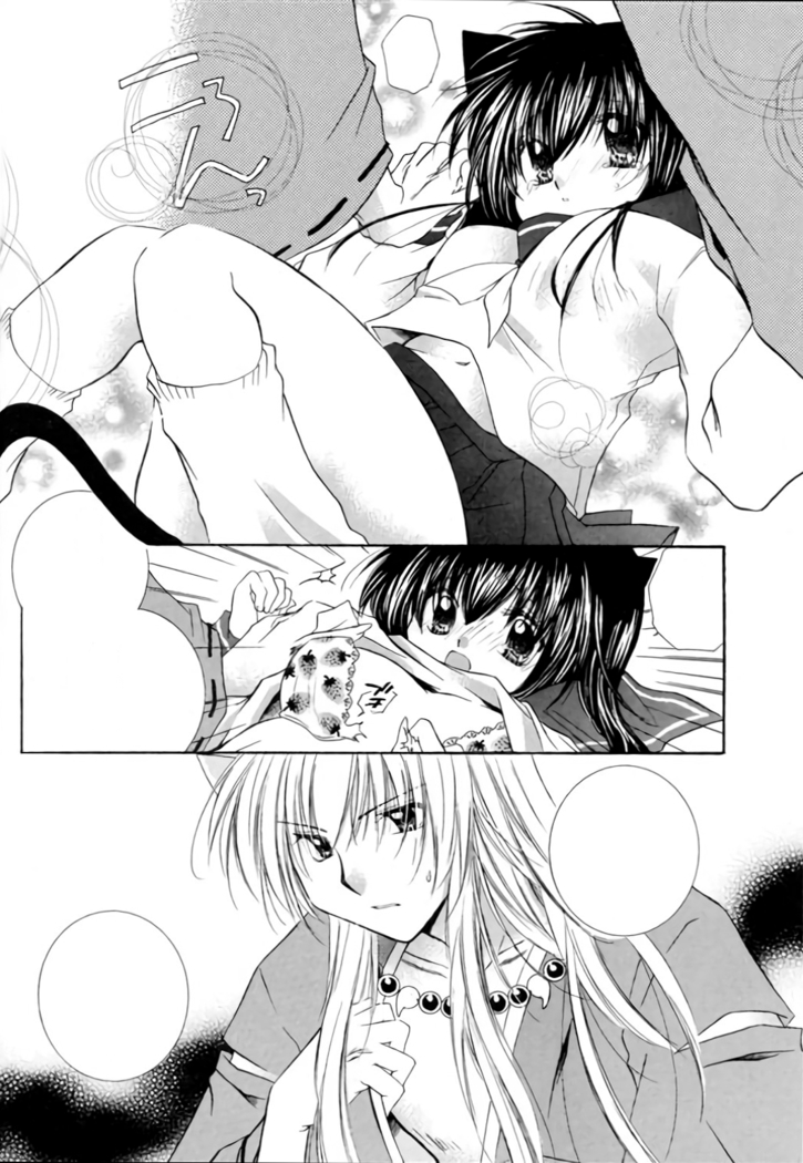 Neko Moe