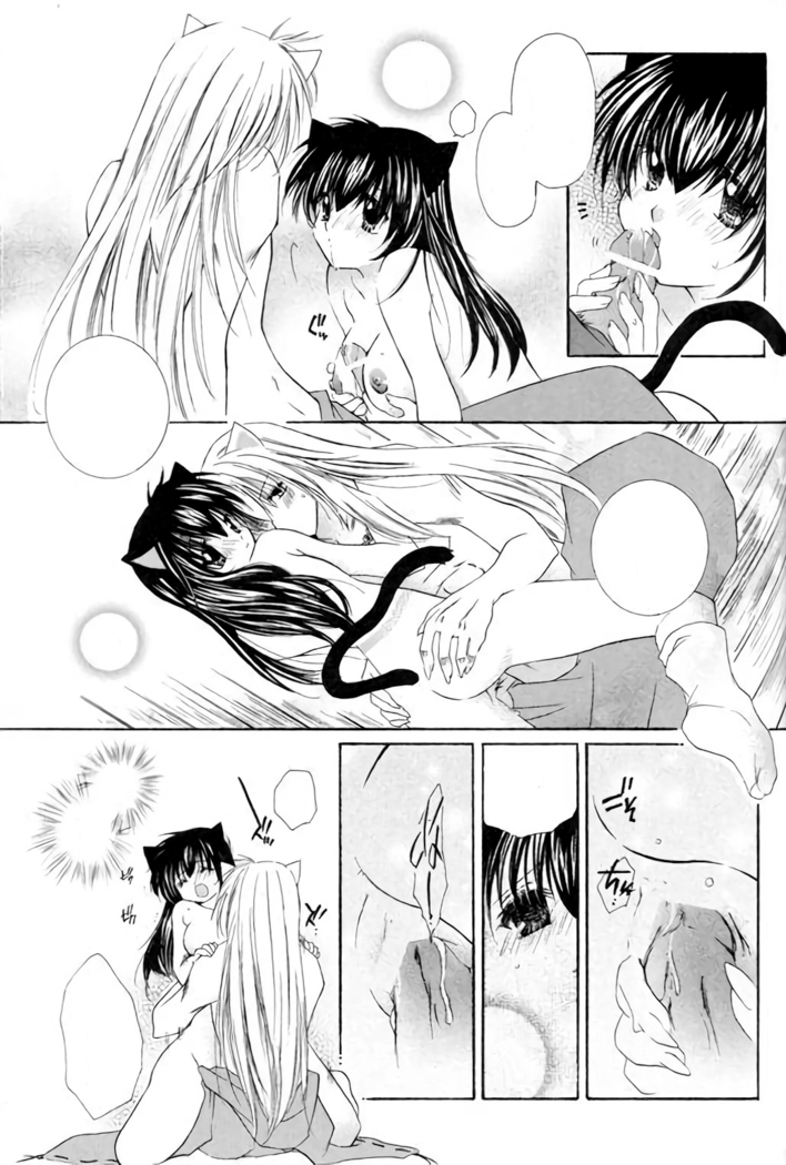 Neko Moe