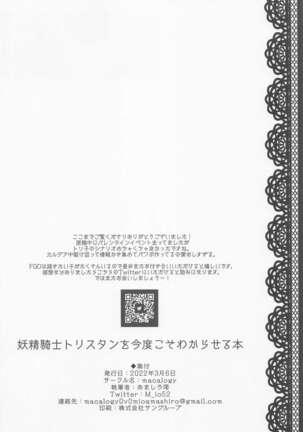 Yousei Kishi Tristan o Kondo koso Wakaraseru Hon - Page 17