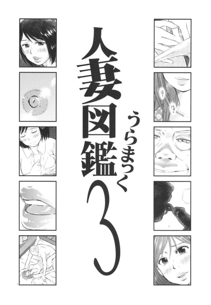 Hitozuma Zukan 3