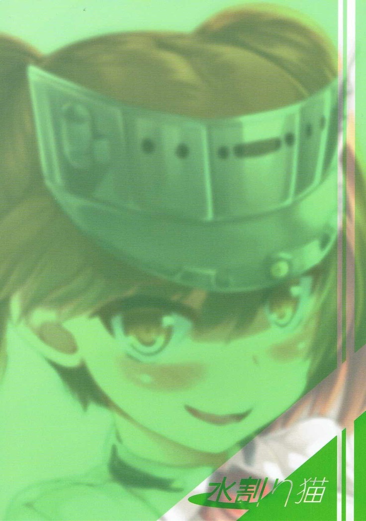 Ryuujou wa Gouhou