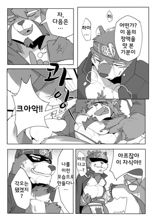 Image 3987938