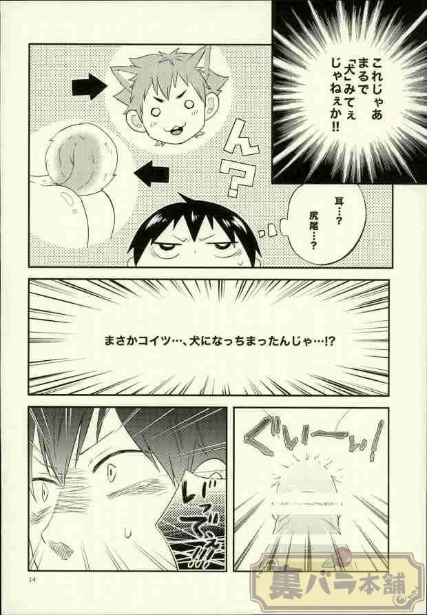 俺の彼氏が犬に取り憑かれまして。