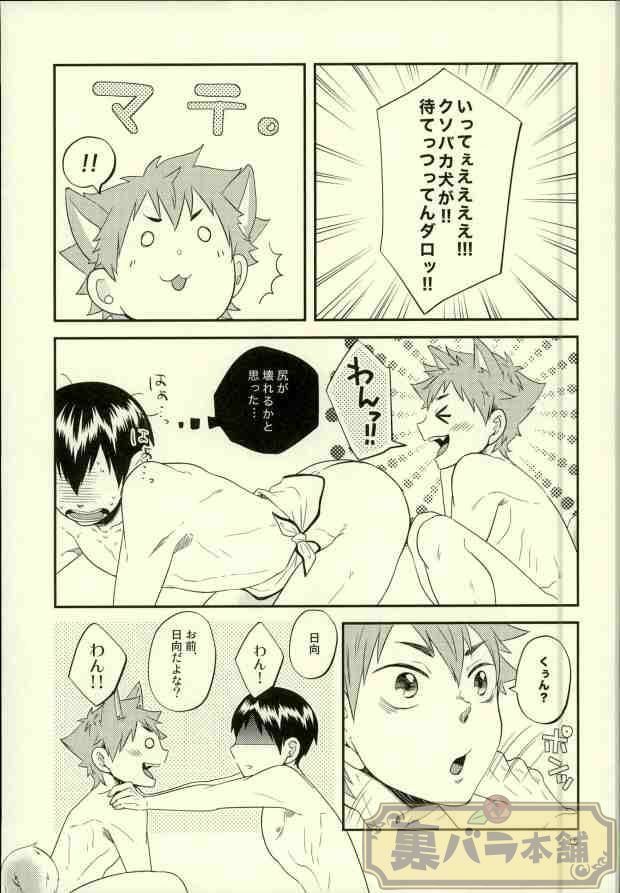 俺の彼氏が犬に取り憑かれまして。