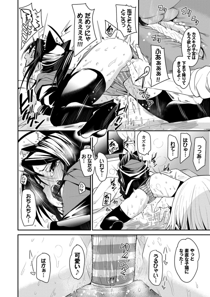 びんかんflavor