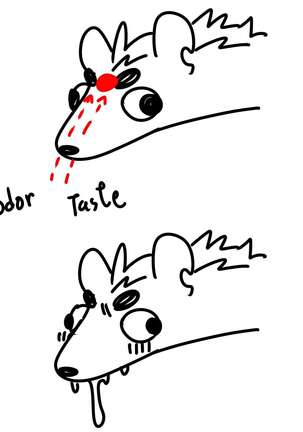 Passionate Affection Page #391