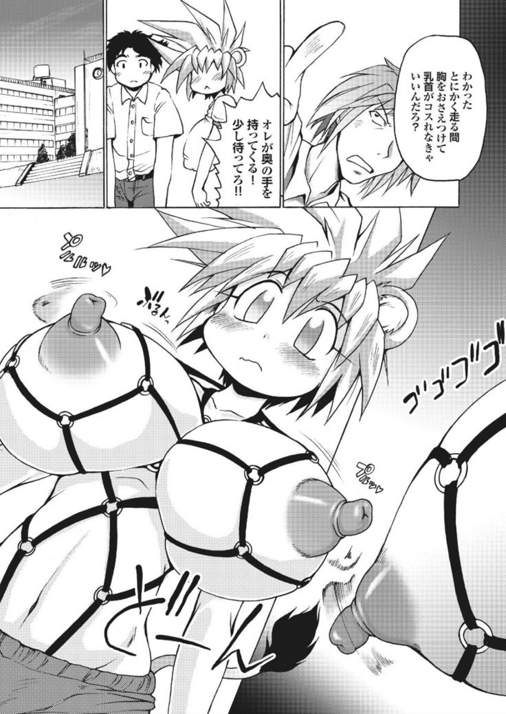 Lion Heart