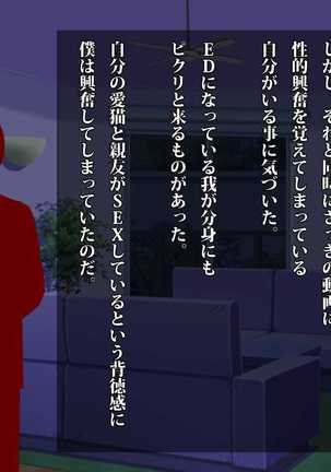 ミケは僕の為に浮気してくる～愛猫と親友のハメ撮りビデオ～ Page #47