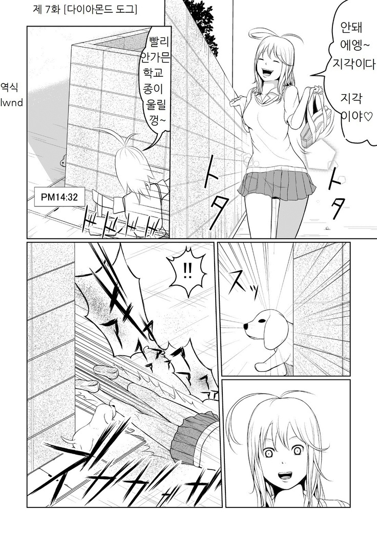 Ch. 7  Diamond dog