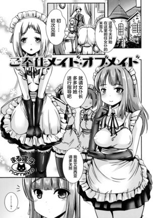 Gohoushi Maid of Maid