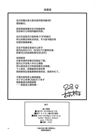Arashi no Bouken - Page 30