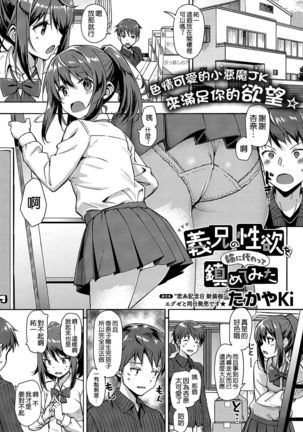 Gikei no Seiyoku o Ane ni Kawatte Shizumete Mita Page #3