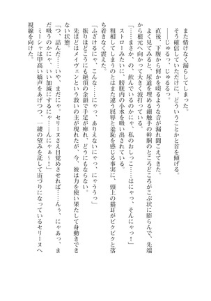 Icerya Eiyuusenki 10 Page #210