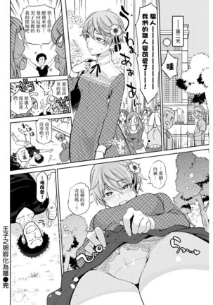 Ouji no Tamago wa Hina ni Kaeru | 王子之卵孵化為雛 Page #17