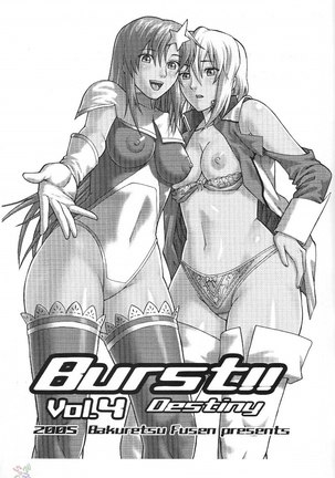 Gundam Seed Destiny Burst 4 Page #2