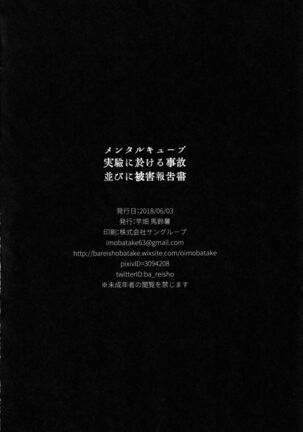Mental Cube Jikken ni Okeru Jiko Narabi ni Higai Houkokusho Page #19