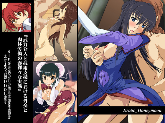 Buryoku Kainyu to Gijutsu Shien ni Okeru Gaikou to Nikutai Roudou no Sekirarana Jittai