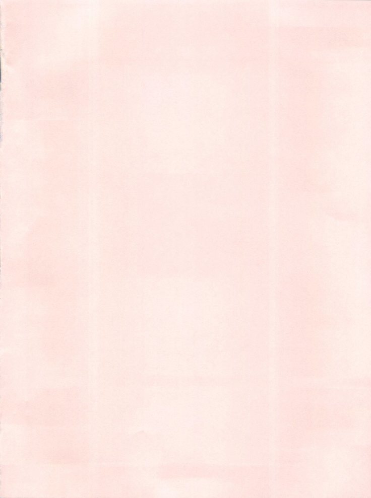 [Pink Macadamian  PINK MACADAMIAN VOL.2