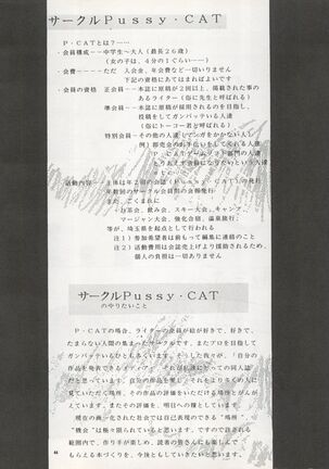 Pussy CAT Vol. 22 Pai-chan Hon 2 - Page 44