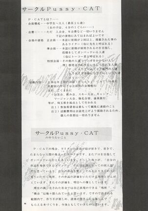 Pussy CAT Vol. 22 Pai-chan Hon 2 Page #44