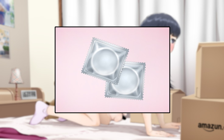 Misuzu no heya ~ hiki komori imōto no tora re-kata ~
