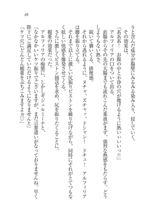 Houjou no Reizoku Elf: Ubawareta Oukoku Page #72