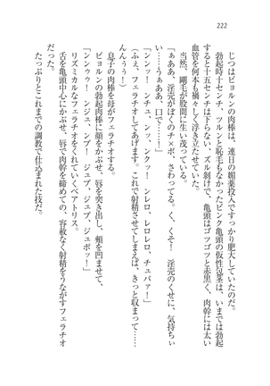 Houjou no Reizoku Elf: Ubawareta Oukoku Page #225