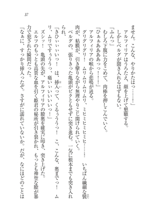 Houjou no Reizoku Elf: Ubawareta Oukoku Page #40