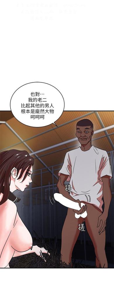 母豬養成計畫【中文】