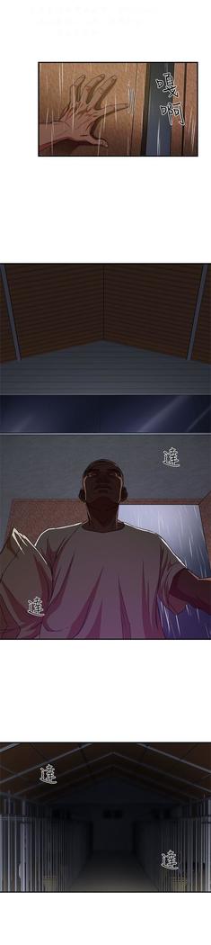 母豬養成計畫【中文】
