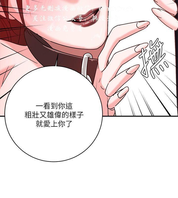 母豬養成計畫【中文】
