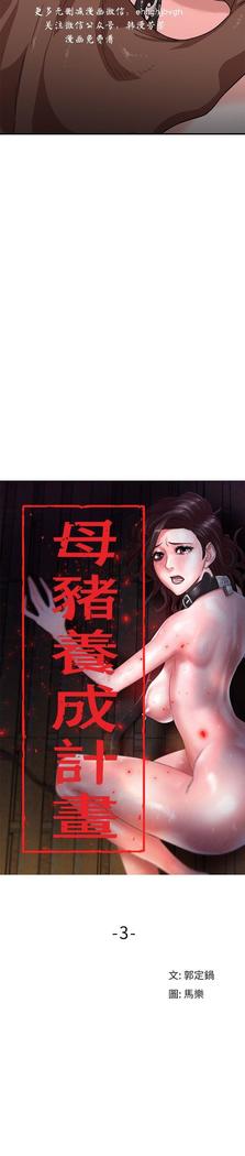母豬養成計畫【中文】