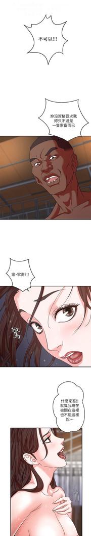 母豬養成計畫【中文】