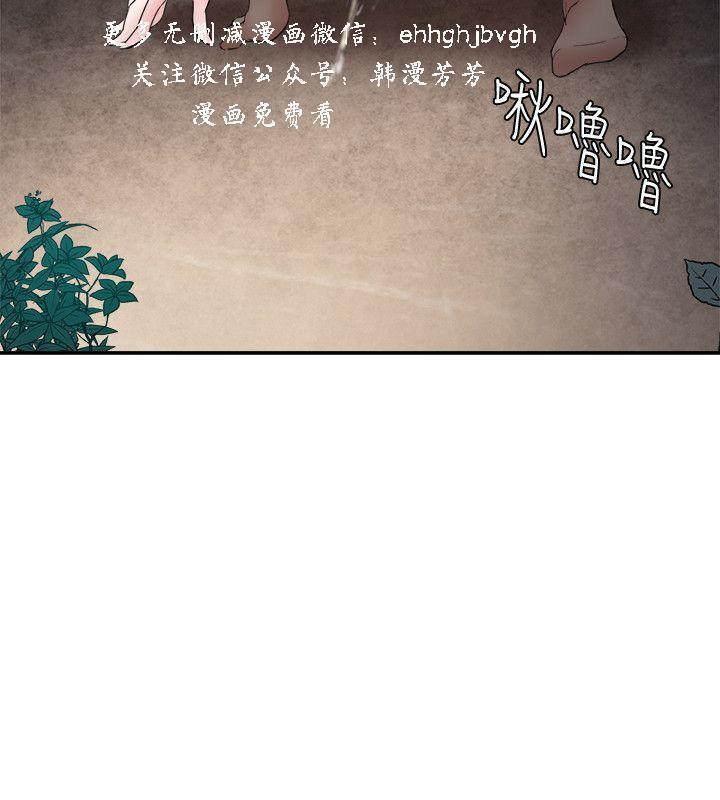 母豬養成計畫【中文】