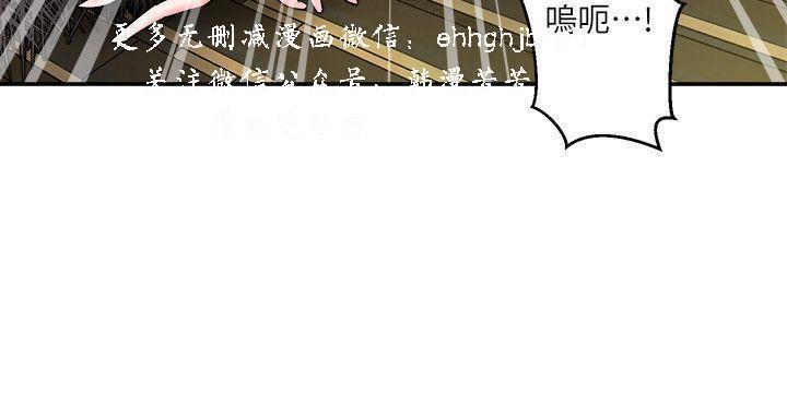 母豬養成計畫【中文】