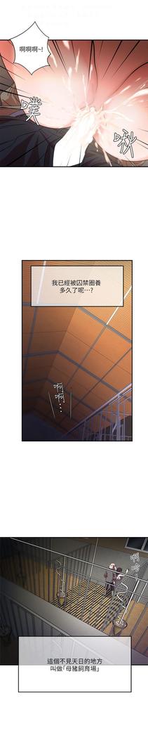 母豬養成計畫【中文】