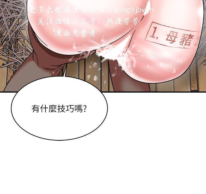 母豬養成計畫【中文】