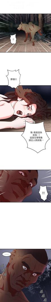 母豬養成計畫【中文】