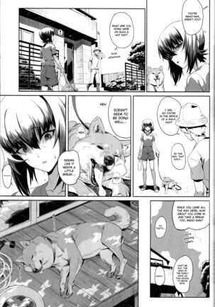 Image 11887446