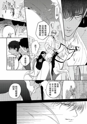 [Soutome Emu] Sahara no Kuro Washi | 撒哈拉的黑鹫 - Ch. 1-4 + 番外 [Chinese] [冒险者公会] [Digital] - Page 14