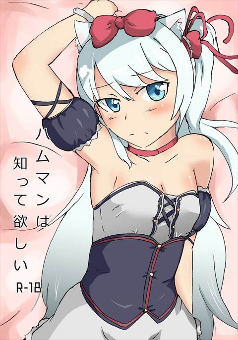 ハムマンは知って欲しい アズールレーン