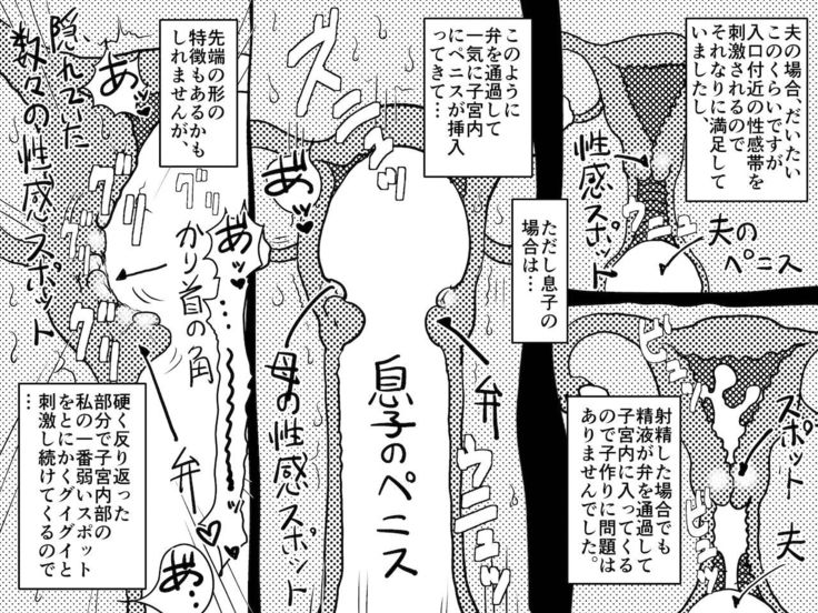 Yaritai Zakari no Musuko to Tainshou no Okaa-san to no Seiseikatsu no Nichijou no Hanashi.