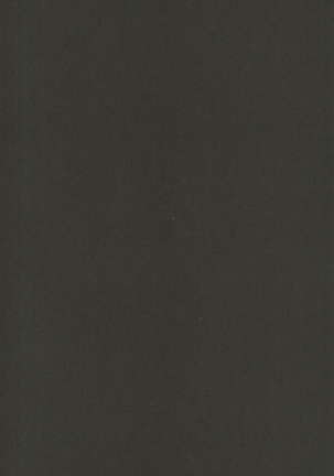 Image 4087894