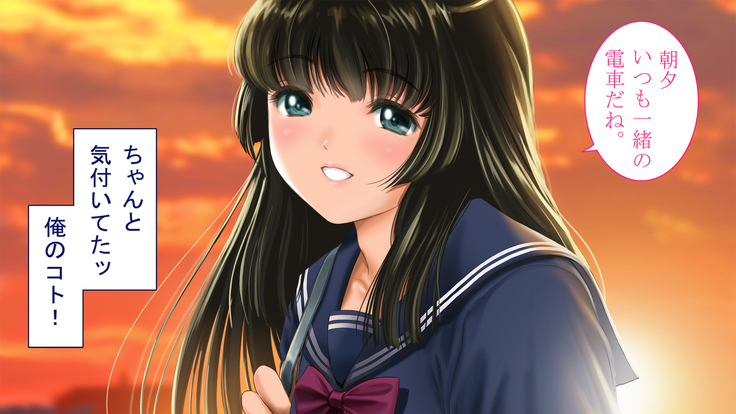 Seijyun joshikousei wo seidorei ni suru houhou