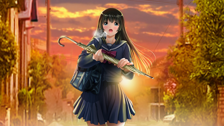 Seijyun joshikousei wo seidorei ni suru houhou